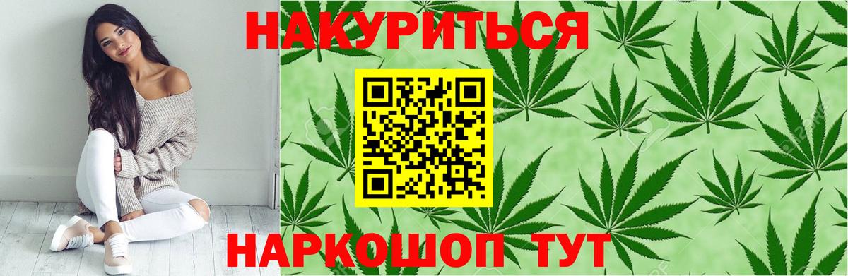 Каннабис план Кисловодск
